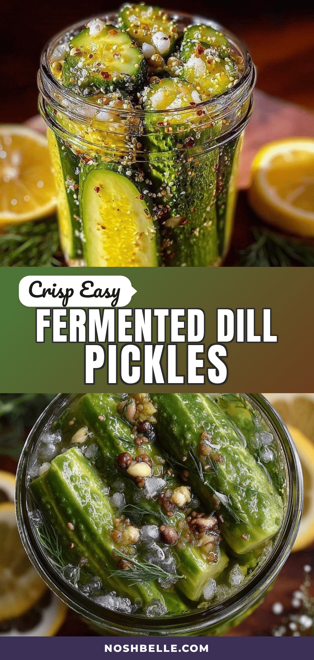 fermented refrigerator dill pickles recipe