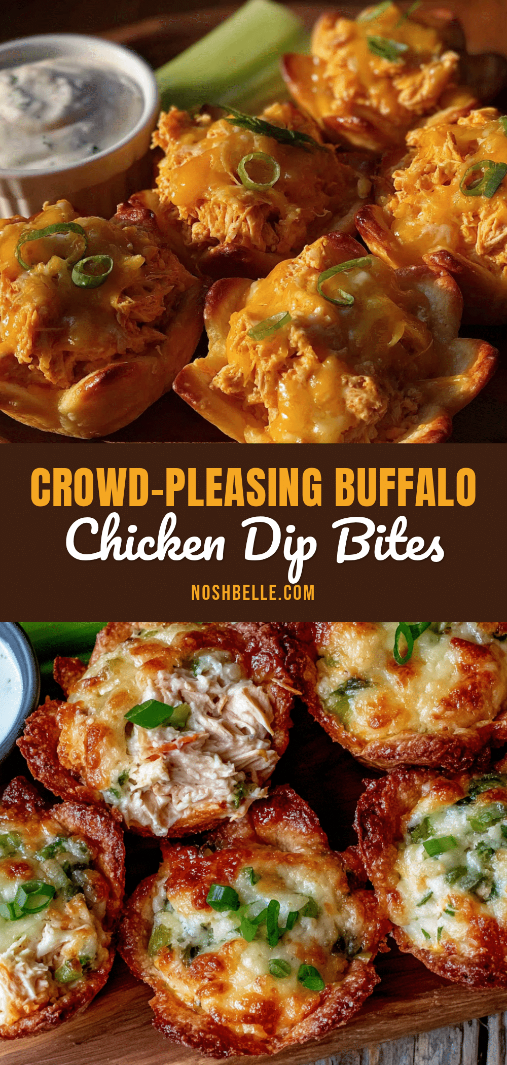 buffalo chicken dip recipe