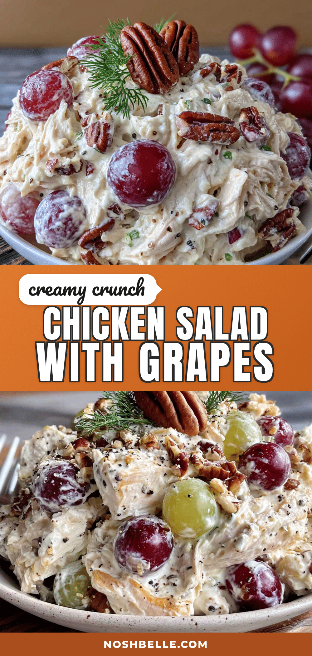 creamy chicken salad with grapes and pecans recipe