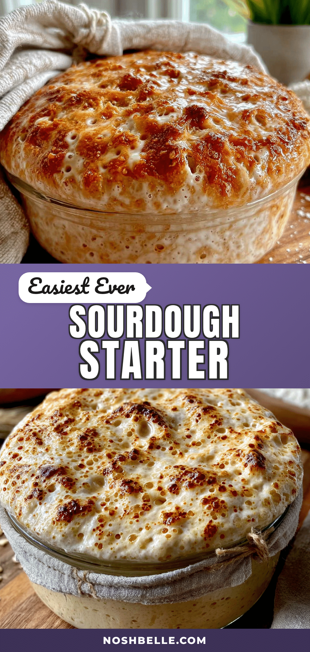 easy beginners sourdough starter recipe