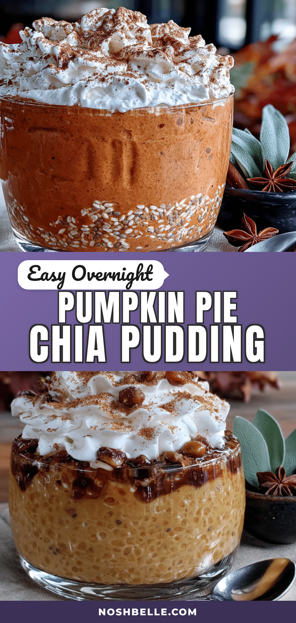Easy Overnight Pumpkin Pie Chia Pudding recipe