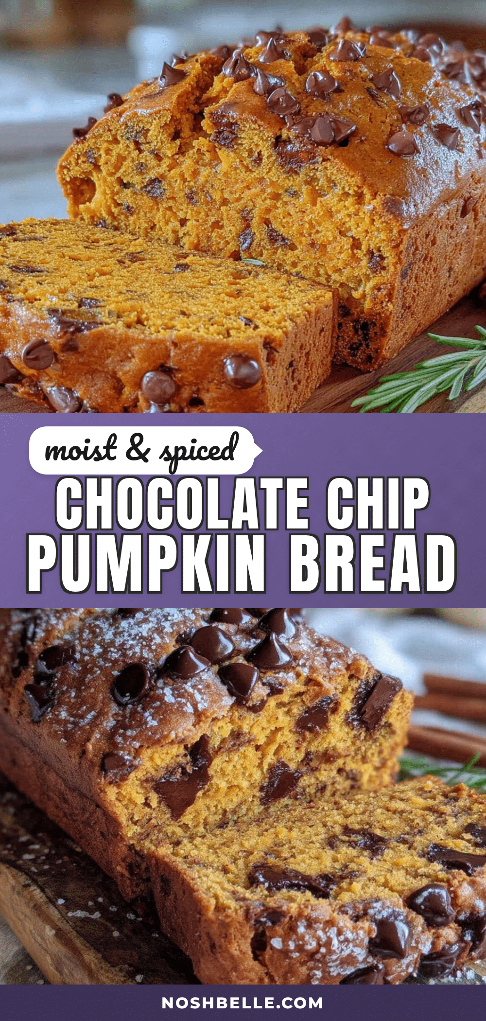 moist chocolate chip pumpkin banana bread recipe