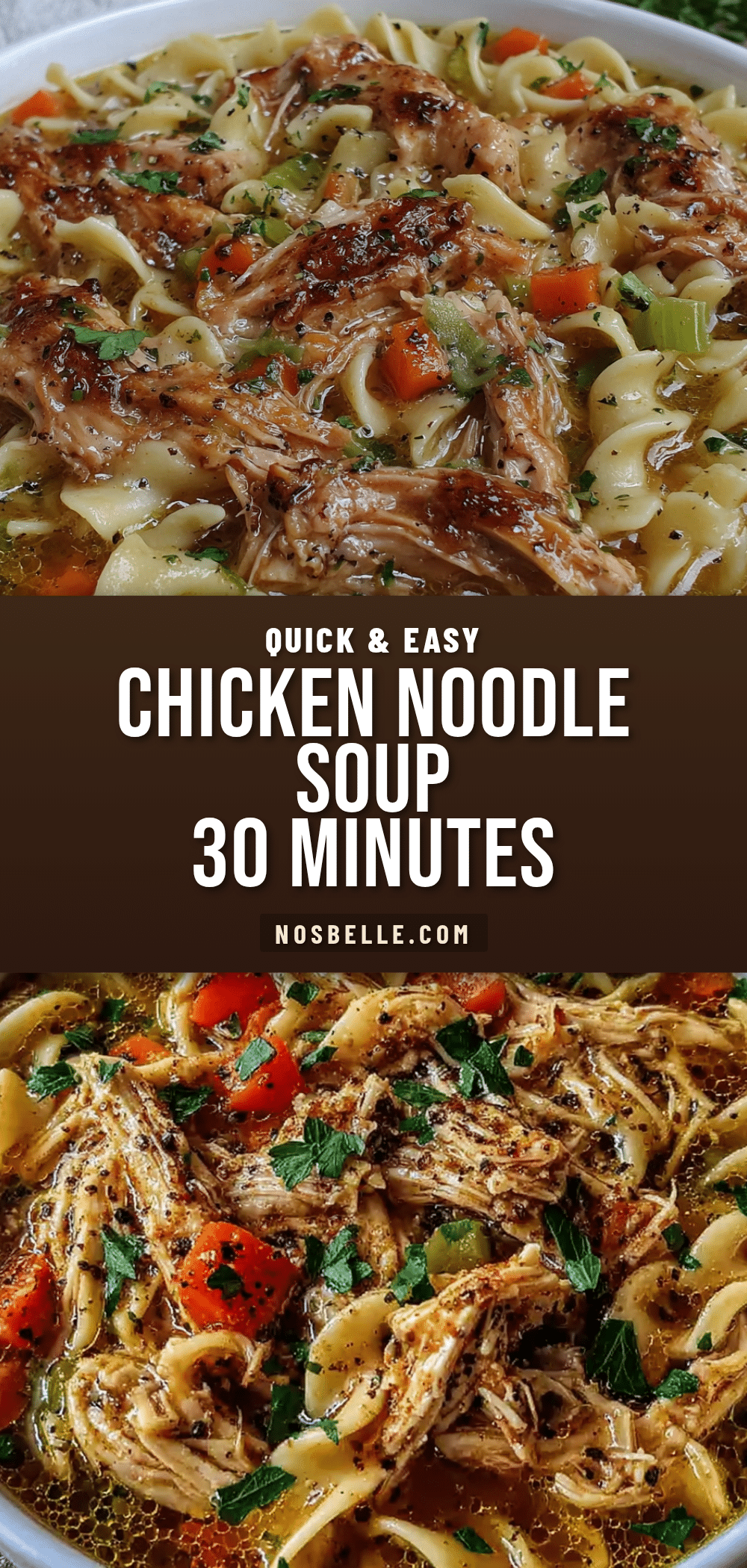 30-minute chicken noodle soup recipe
