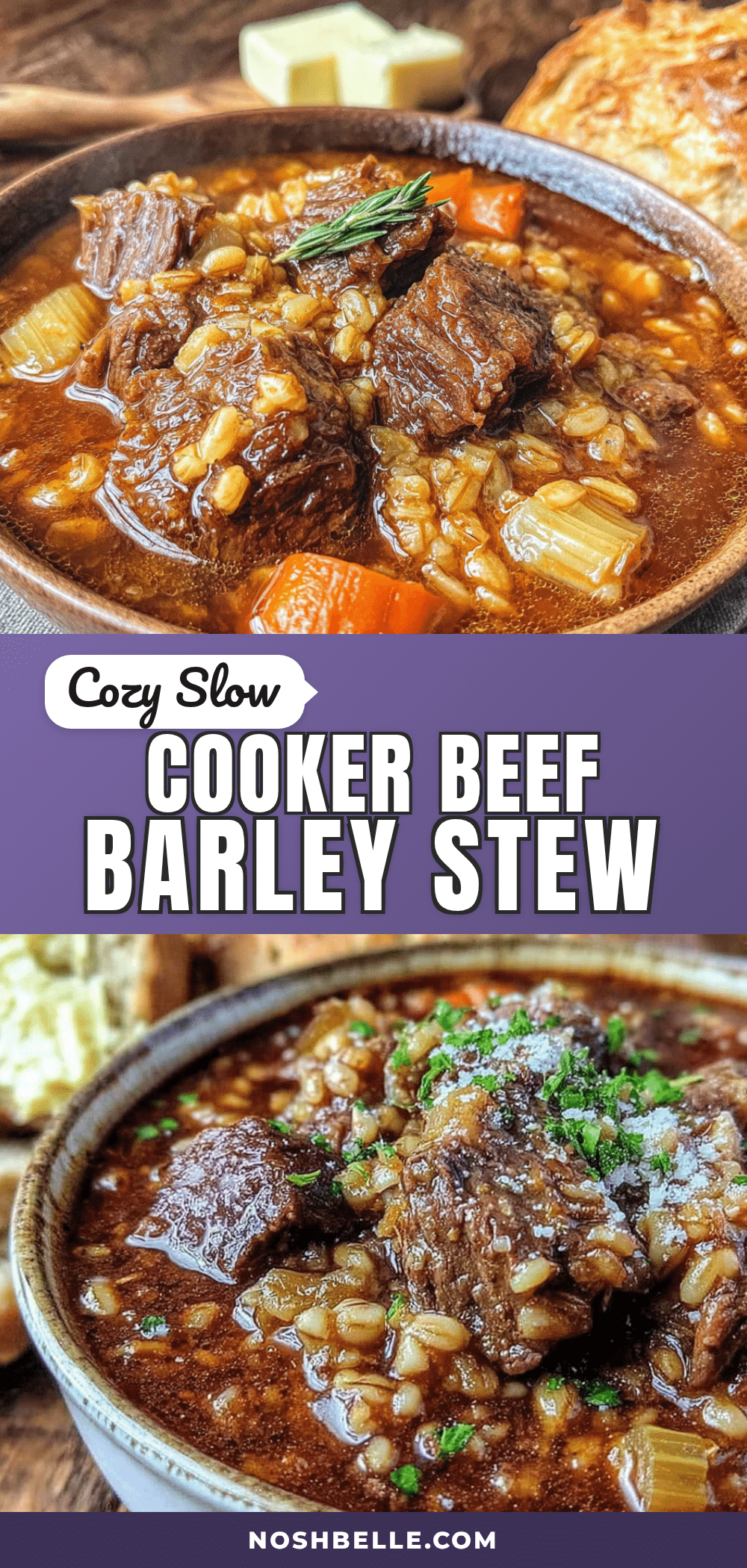 cozy crockpot beef and barley stew recipe