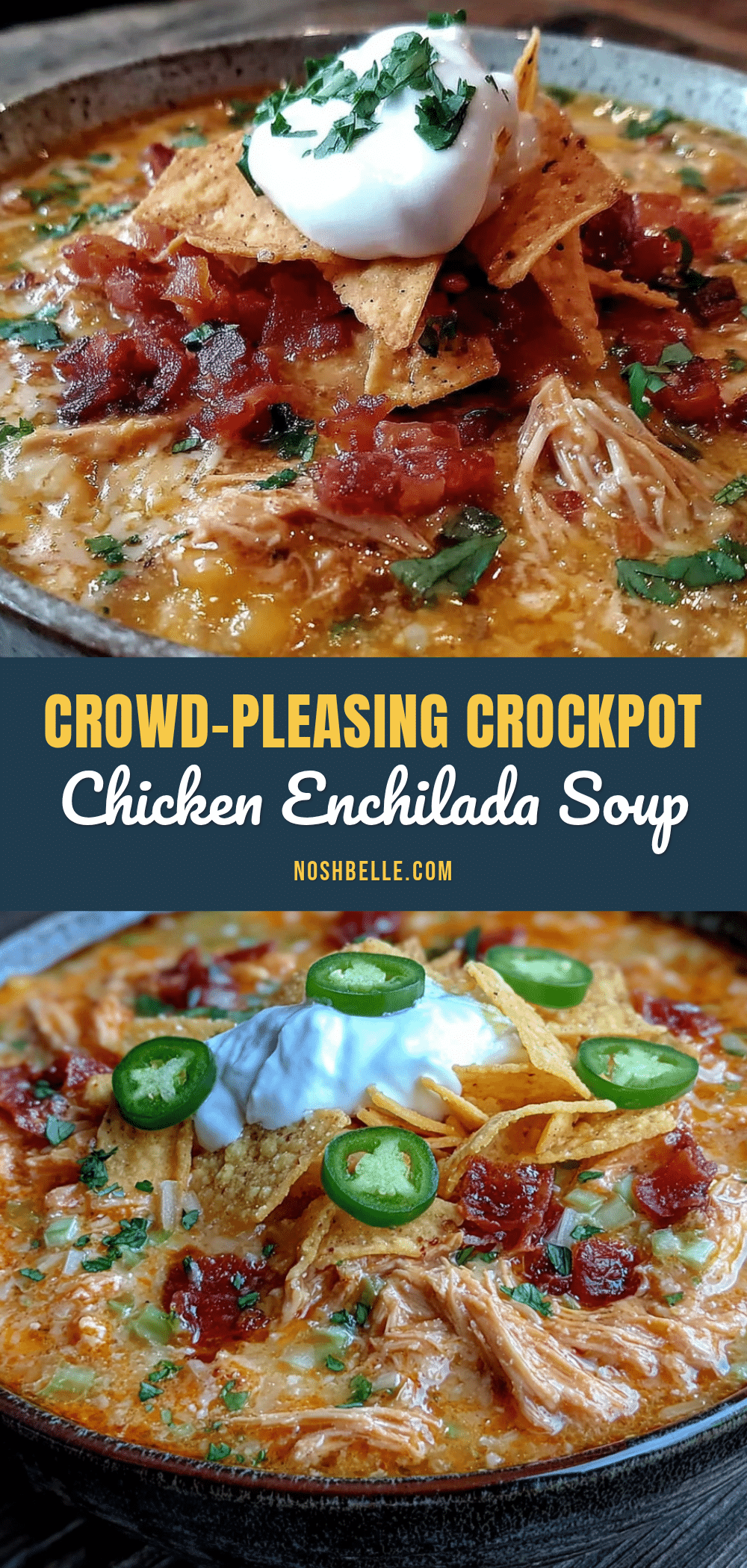 Crockpot Chicken Enchilada Soup recipe