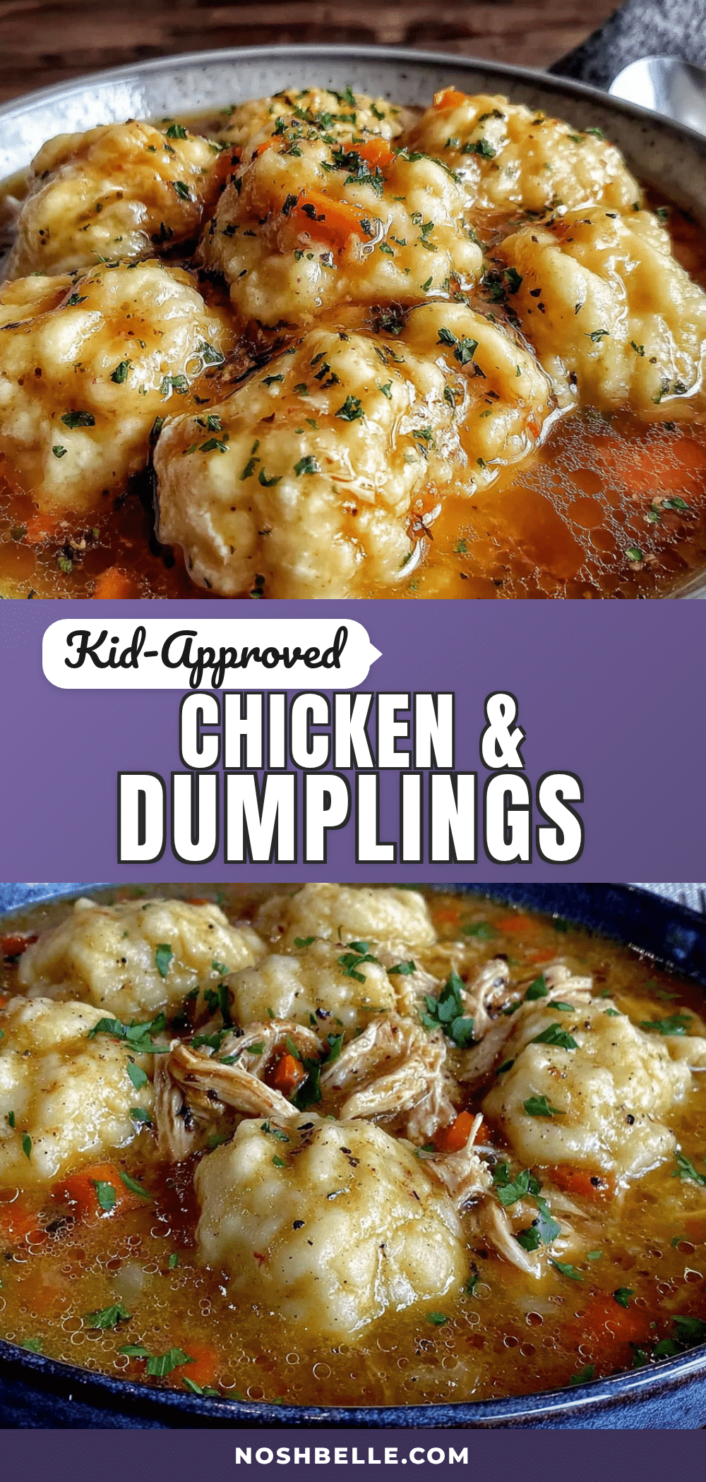 kid-approved chicken and dumplings recipe