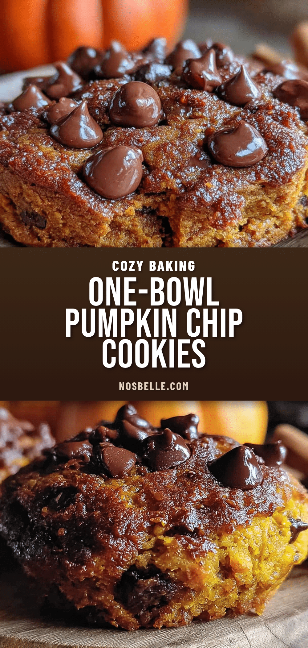 pumpkin chocolate chip cookies recipe