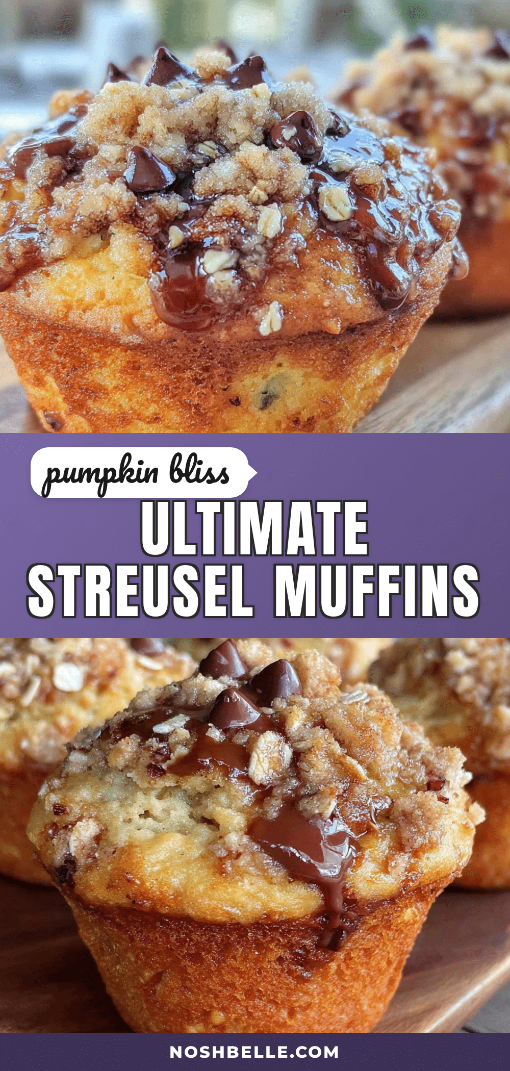 pumpkin chocolate chip muffins recipe