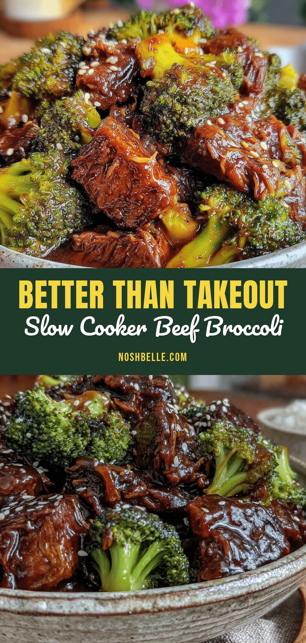 slow cooker beef and broccoli recipe