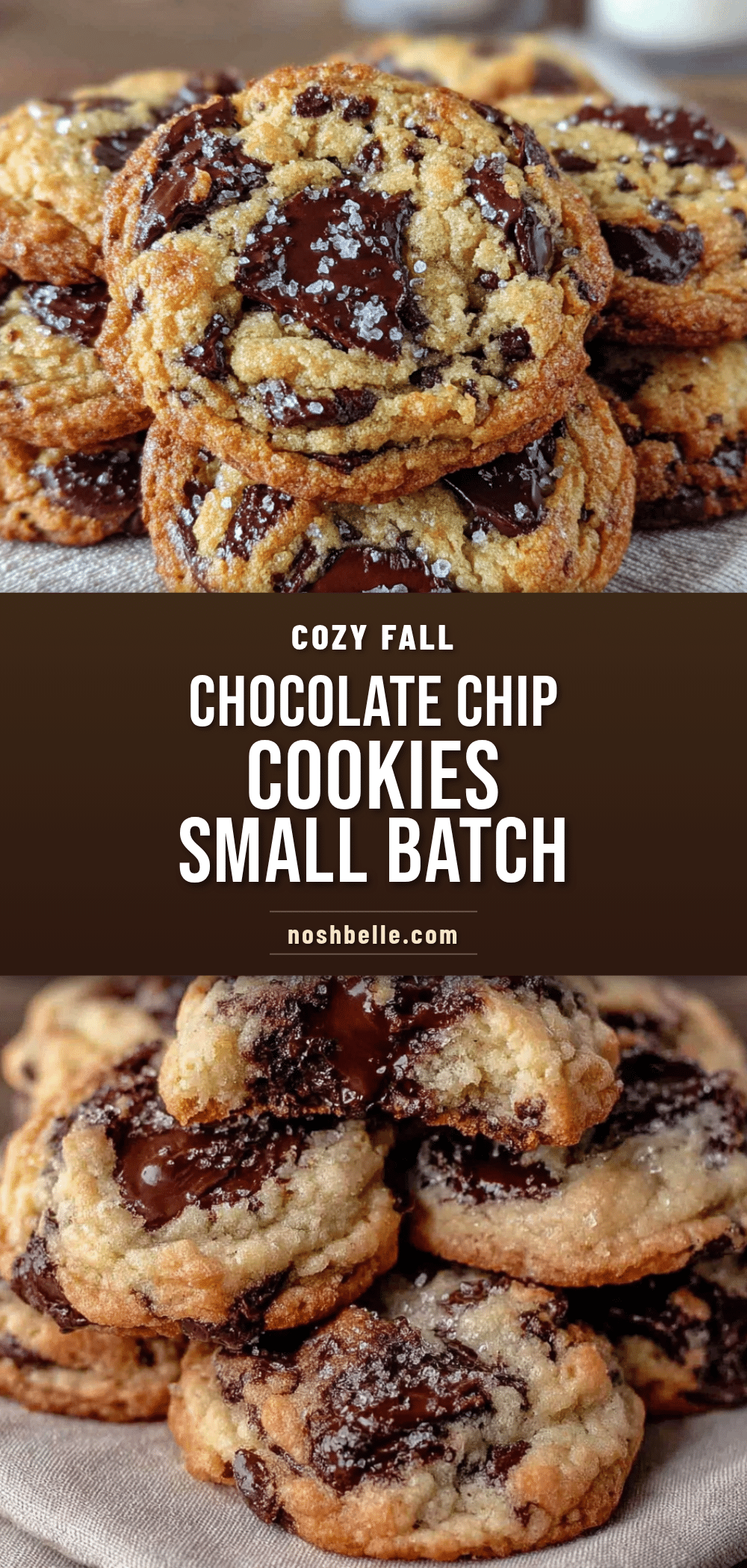 small-batch chocolate chip cookies recipe